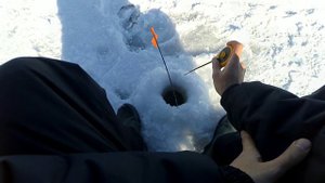 Плотва на безмотылку | Наловил за 2 часа хорошей плотвы