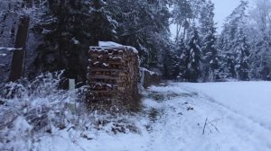 ФОТОСЕССИЯ ДОМА. ВЕСЬ ДЕНЬ НЕ ПО ПЛАНУ! ВОВА ЗАМЕРЗ В ЛЕСУ!