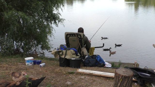 Как я летом карпа на платнике искал... смотреть онлайн