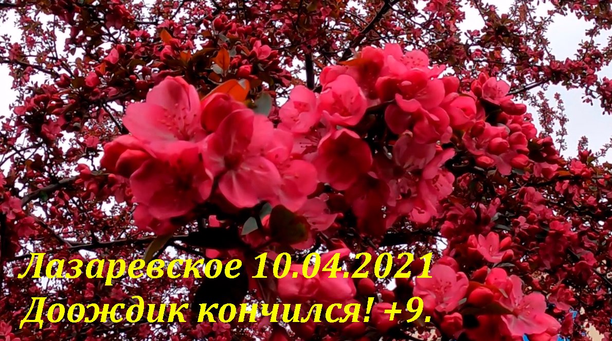 +9, дождик кончился! 10.04.2021 ?ЛАЗАРЕВСКОЕ СЕГОДНЯ?СОЧИ.