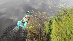 Как на Августовском канале выкашивают водную растительность.