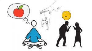 Свободы воли не существует. Что дальше?