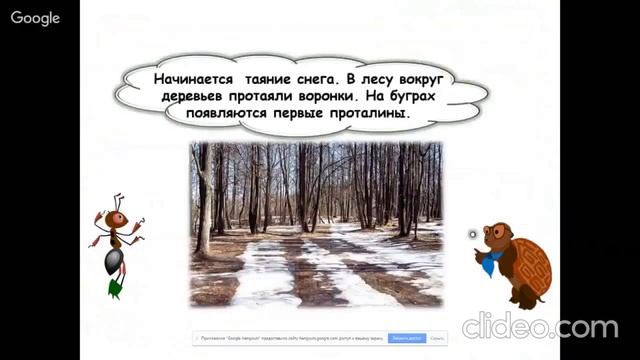 13 05 Почему мы не будем рвать цветы и ловить бабочек Почему в лесу мы будем соблюдать тишину смотреть онлайн