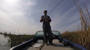 Обзор Jackall I-Prop 75s