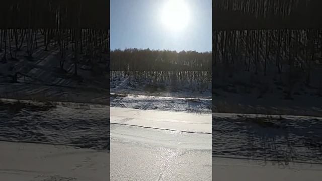 Больше газу. #снегоходы #Варяг #БРП смотреть онлайн