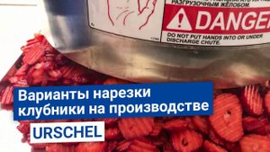 Как нарезать свежую или замороженную клубнику в промышленном объеме? Примеры и советы.