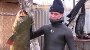 Астраханские Будни #8 - Подводная Охота. Трофейный Сом. Взвешивание. Разделка Сома. Баня.
