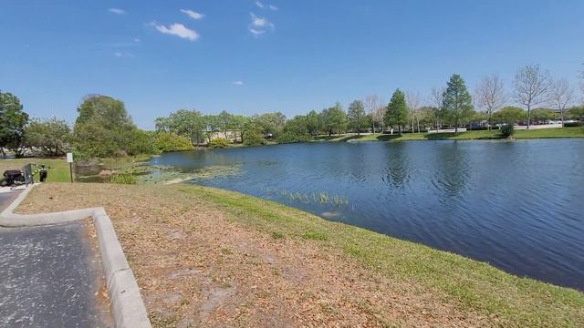 Хочу получить американские права, пришёл в местное ГАИ #США #имиграциявсша #флорида смотреть онлайн