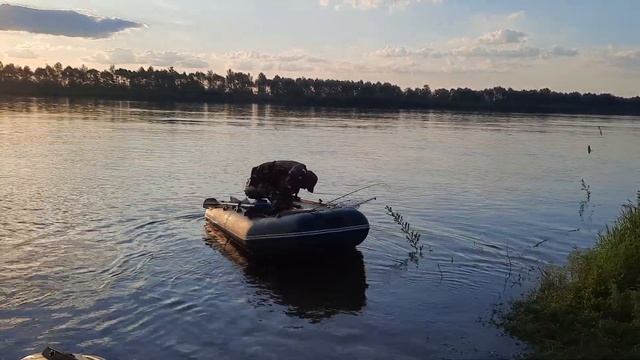 Река Белая . ,, Июнь - на рыбалку плюнь." смотреть онлайн