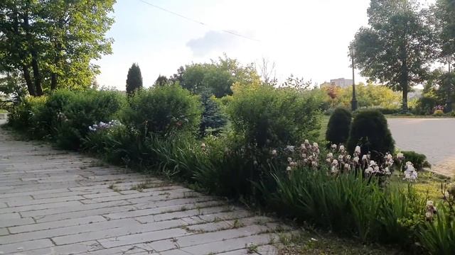 ТРОИЦА: приметы, традиции праздника, что нельзя делать и что надо делать на Троицу