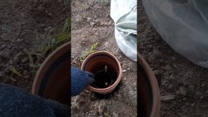 Армирование столбчатого фундамента под бытовку