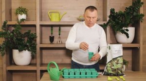 Выращивание редиса в домашних условиях