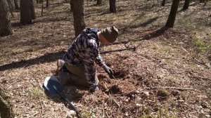 MD 6350 c катушкой nel snake