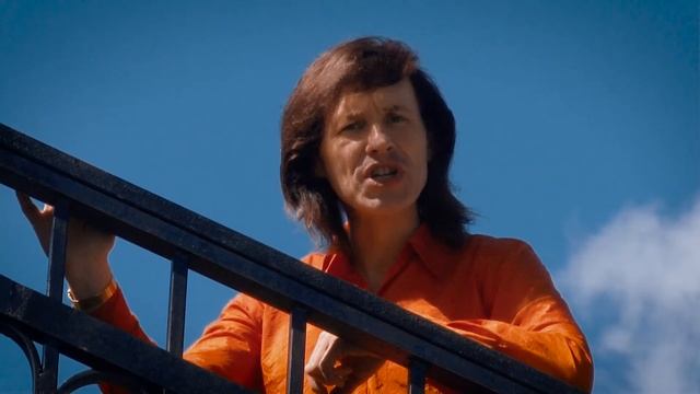 стеллерова черноголовая голубая сойка. хочешь я стану дождиком синяя птица. синий дождик. дождь синяя птица. птицы в кустах.