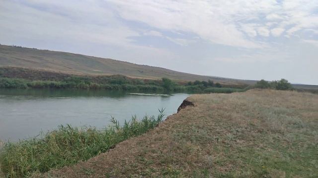 Где ловить раков, 40км от Ставрополя. р.Егорлык смотреть онлайн