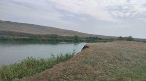 Где ловить раков, 40км от Ставрополя. р.Егорлык