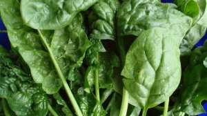 Интересные факты про шпинат ТОП-10