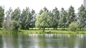 Современная поэзия. Актриса читает стихи. Вселенная