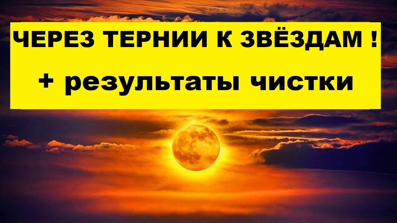 ПРЕКРАСНАЯ ВЕРХОВНАЯ ЖРИЦА! ЧТО ЖДЁТ ВПЕРЕДИ? #таро #гадание #tarot