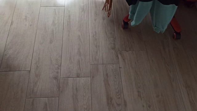 Йорки.Настроение зависит от погоды. Tempo brutto dormiamo. смотреть онлайн