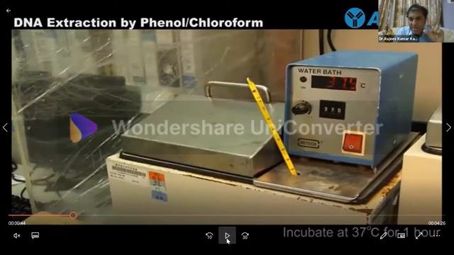 Genomic & Plasmid DNA isolation смотреть онлайн