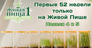 Евгений Агафонов, "Личный Опыт Сыроедения" Проект "52 недели". Неделя 4,5. (видео 41)