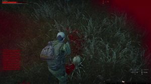 Пауки Stay Out Окрестности Любеча