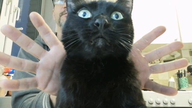 Меланья Григорьевна хочет на ручки. смотреть онлайн