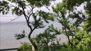 ДВВИМУ / Морской гос. университет им. адм. Г . И. Невельского . Владивосток