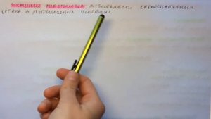 Билет 085. АНАСТОМОЗЫ В АРТЕРИАЛЬНОЙ СИСТЕМЕ, ИХ ЗНАЧЕНИЕ.