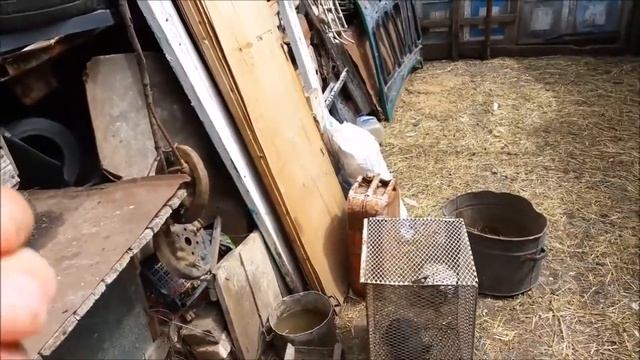 делаем прививки вьетнамским поросята смотреть онлайн