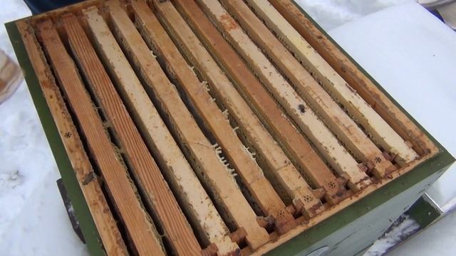 УТЕПЛЯТЬ, или НЕ УТЕПЛЯТЬ пчёл в зиму? [1/4] Зимовка ПЧËЛ на улице. смотреть онлайн