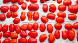 Порошок из помидоров на зиму