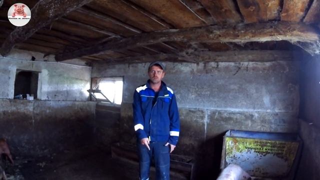 Переселение в сарае / кто такой француз ? смотреть онлайн