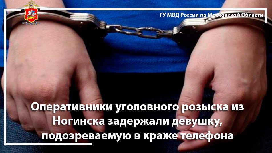 Оперативники уголовного розыска из Ногинска задержали девушку, подозреваемую в краже телефона