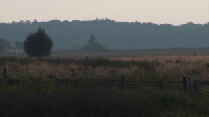 ИГОРЬ СЕВЕРЯНИН. “Воздвиженье“. Библейский сюжет