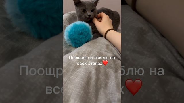 Как прошел ваш первый раз?