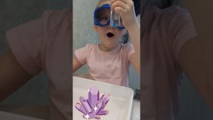 Блестяшки Детские опыты Загадочные водоросли