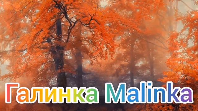 Ольга Уралочка live /Ужас /Довели человека /Обзор Влогов /Уралочка и Сафар /