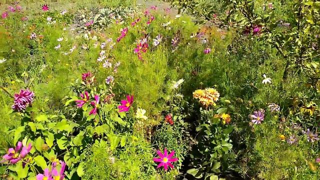 CHALLENGE 10X10 \\ ПРАВДА ИЛИ ДЕЙСТВИЕ НА ДАЧЕ смотреть онлайн