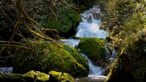 В горах Кавказа / Georgia Mountain Trekking / საქართველოს მთები / Грузия / Сванетия / Поход