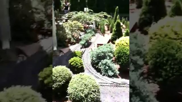 trains cape cod 2 смотреть онлайн