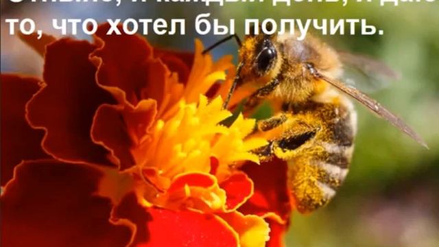 День 9 Медитация Изобилия и Закон дарения  21 день изобилия Дипак Чопра на русском языке