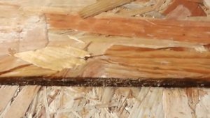 Опять OSB EGGER! Опять ЛУЧШИЙ! Испытание весной.