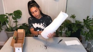 Plant Mail | Plant Unboxing | Gabriella’s Plants | Cebu Blue | Epipremnum Pinnatum