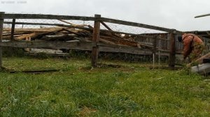 Укрываем  виноград коробами  на зимовку, на Алтае!!!