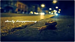 Бетховен - мелодия слез