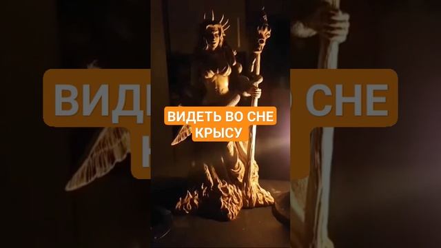 ВИДЕТЬ ВО СНЕ КРЫСУ #ингахосроева #сон #соник #сонник #shorts #short #shortvideo #shortsvideo