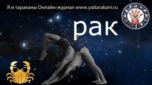 Раки Гороскоп. Кто такие Раки? Описание