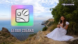 КИН 10. БЕЛАЯ ПЛАНЕТАРНАЯ СОБАКА | ТЕОРИЯ И ПРАКТИКА КАЛЕНДАРЯ МАЙЯ | Часть 10